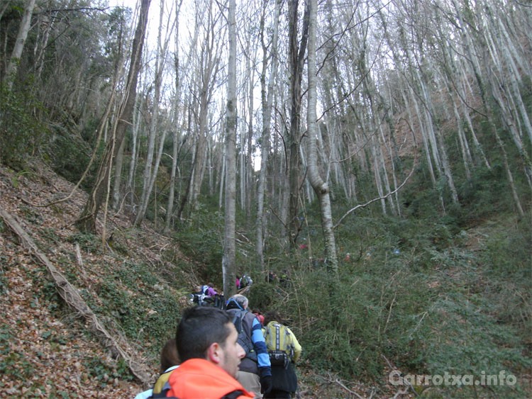 016_Les 24 hores de muntanya 2011 CEO